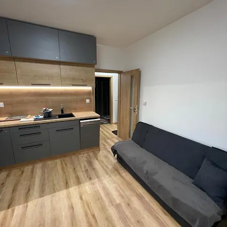 Skis Apartment