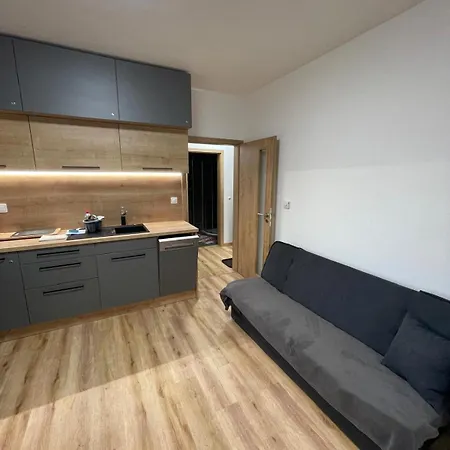 Skis Apartmán